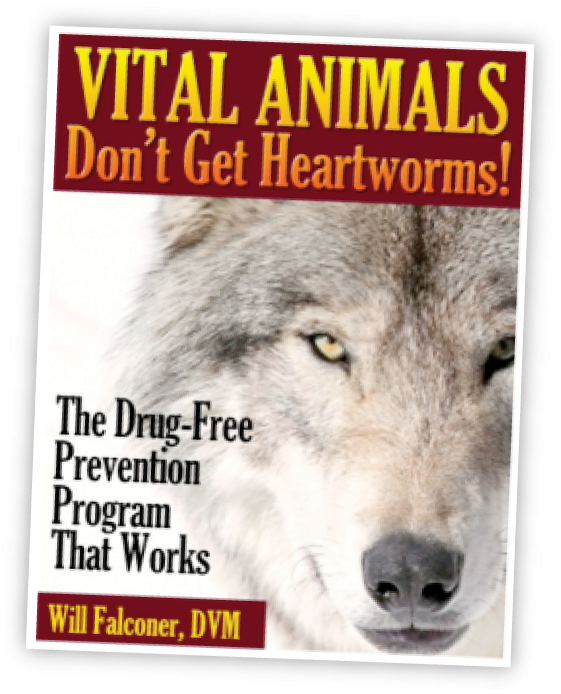 This Is How - Vital Animals (568x700), Png Download
