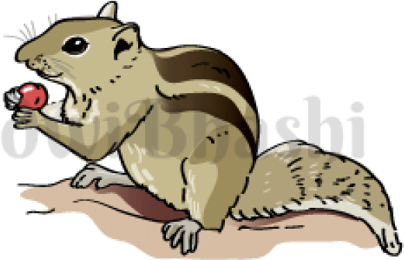 Indian Clipart Squirrel - Illustration (640x480), Png Download