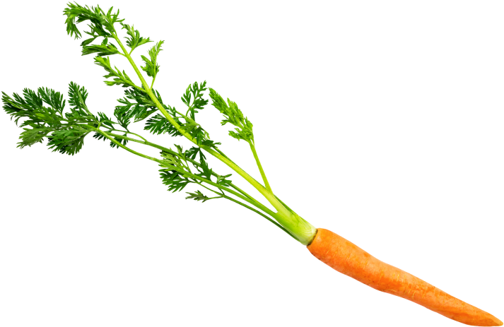 Carrot With Leaves - Carrot (866x650), Png Download
