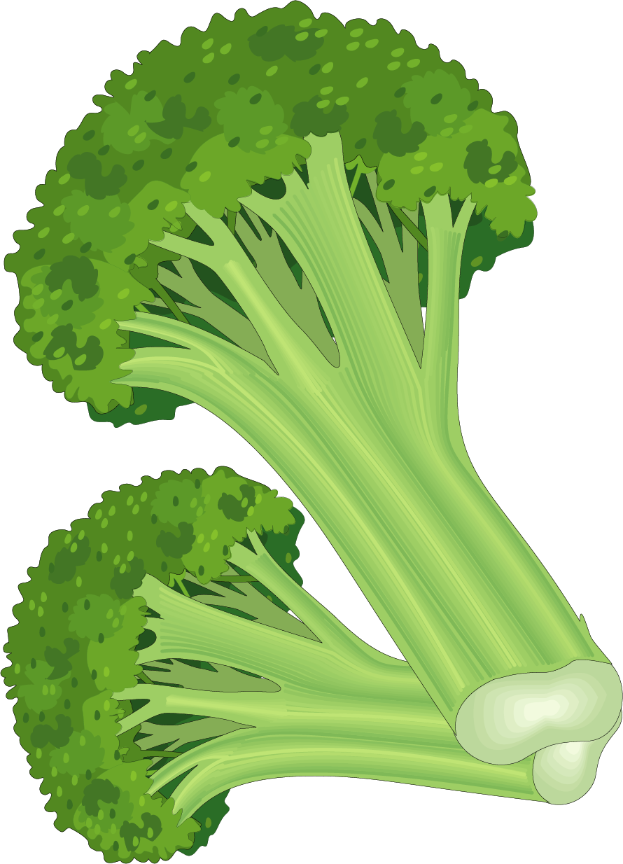 Leaf Vegetable Fruit Carrot Clip Art - Clipart Fruits Carrot (890x1234), Png Download