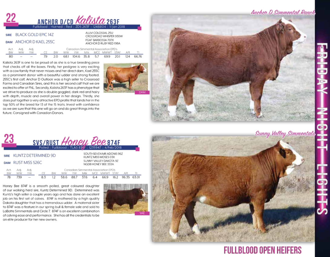 $10,000city View Simmentals - Dairy Cow (1080x841), Png Download