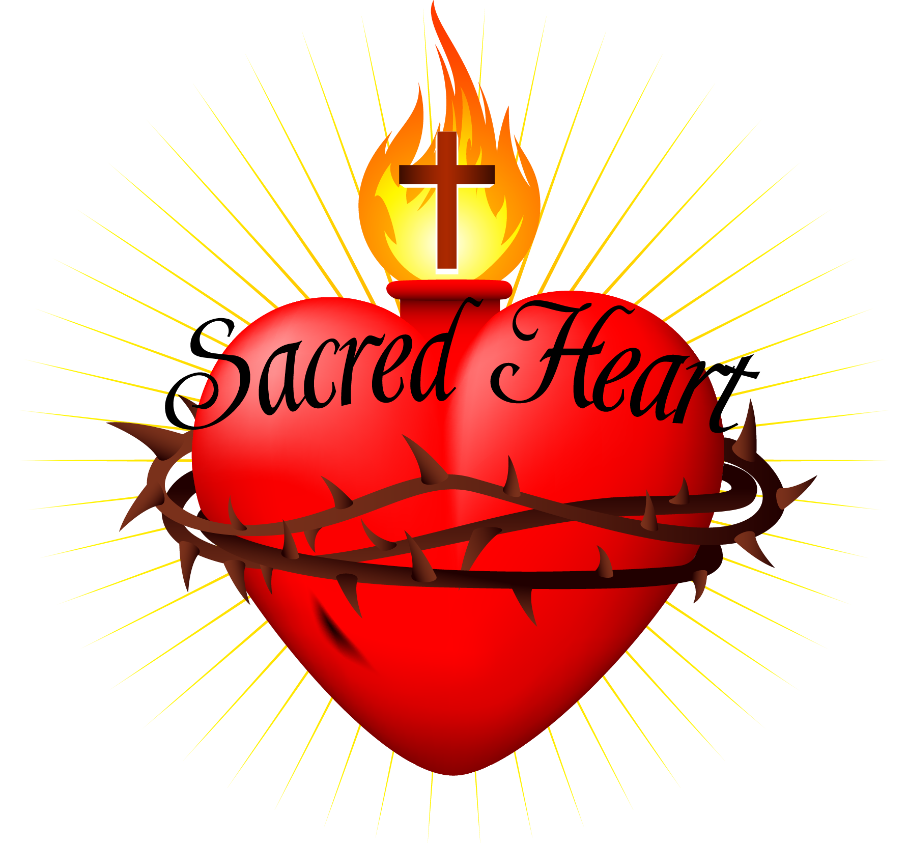 < Back To Organization List Sacred Heart Catholic Church - Catholic Sacred Heart Symbol (1784x1656), Png Download