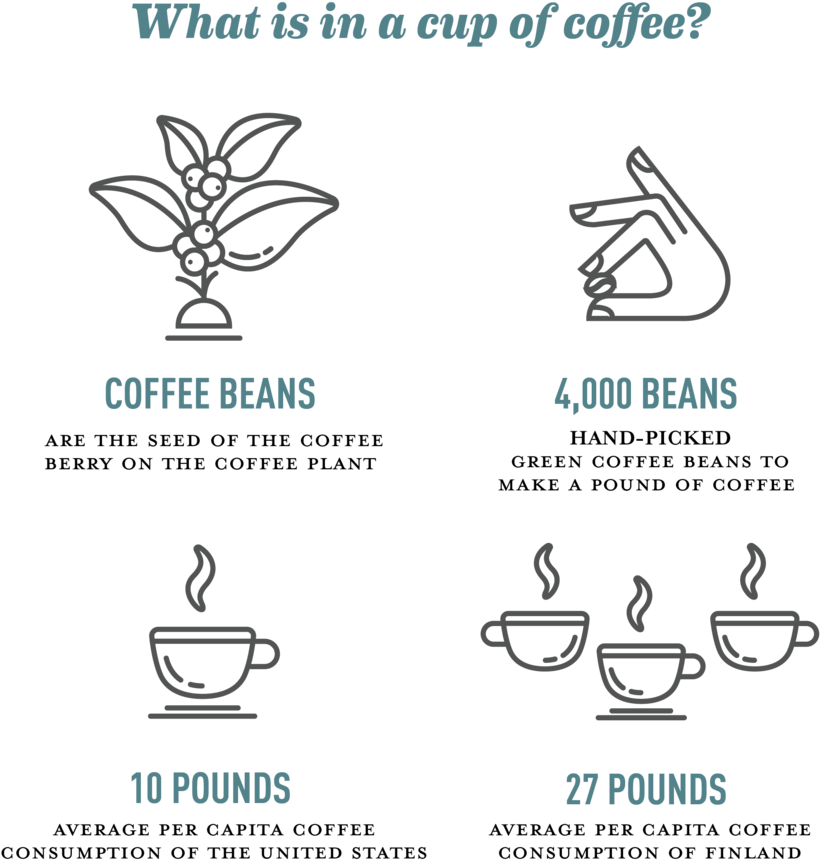 What's In Your Mug Exploring The Costs In A Cup Of - Per Capita Consumption Coffee (1024x1024), Png Download