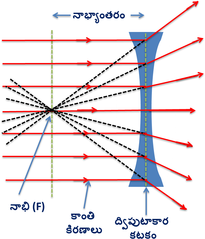 Diverging Rays - Diagram (682x832), Png Download