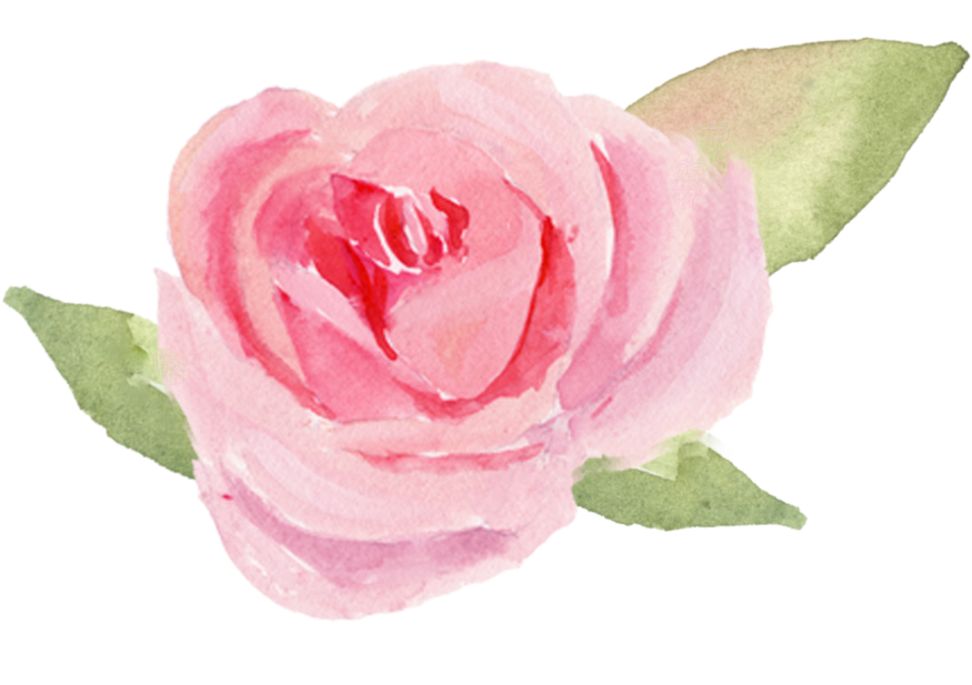 Garden Roses (905x729), Png Download