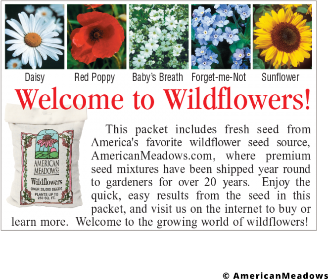 Baby's Breath Seed Packet - Sunflower (700x700), Png Download