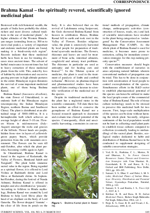 Pdf - State Flower Of Uttarakhand (595x842), Png Download