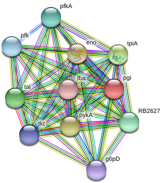 Circle (975x398), Png Download