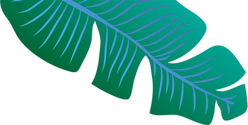 Footer Leaf Image - Tree (800x405), Png Download