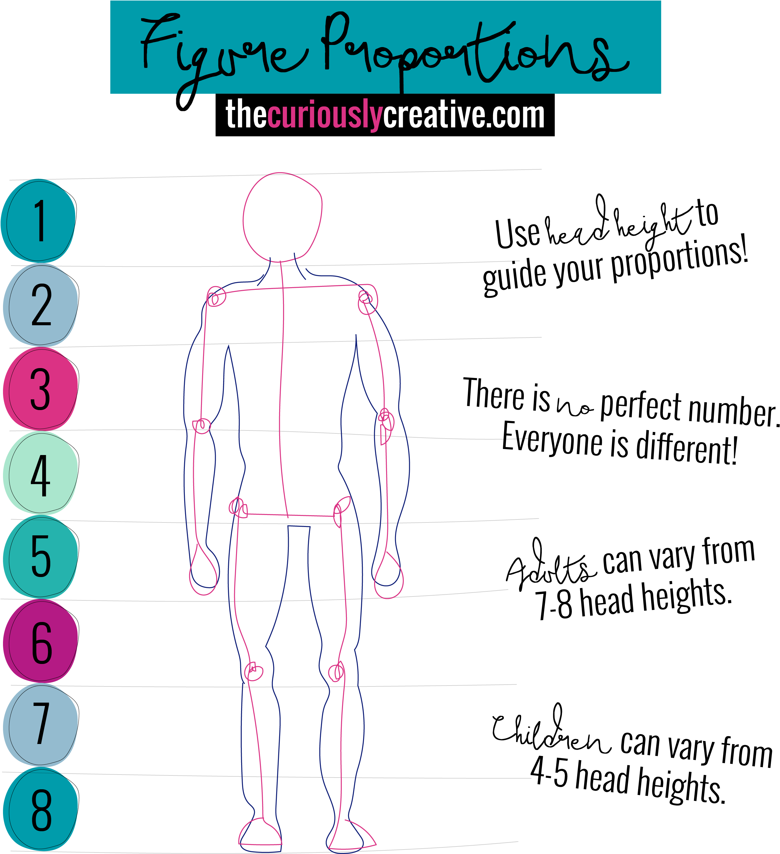 Figure Proportion Drawings - Head Proportion Drawing Height (2738x2919), Png Download