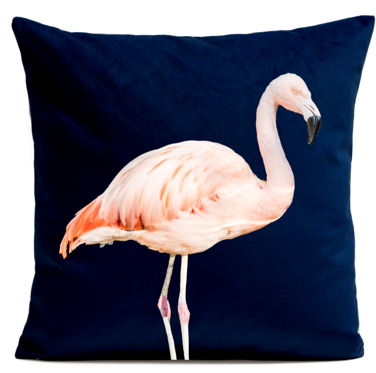 Pillow Cover - Coussin Pink Flamingo (775x775), Png Download