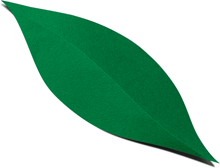 Find Lavva Near You - Tree (730x557), Png Download