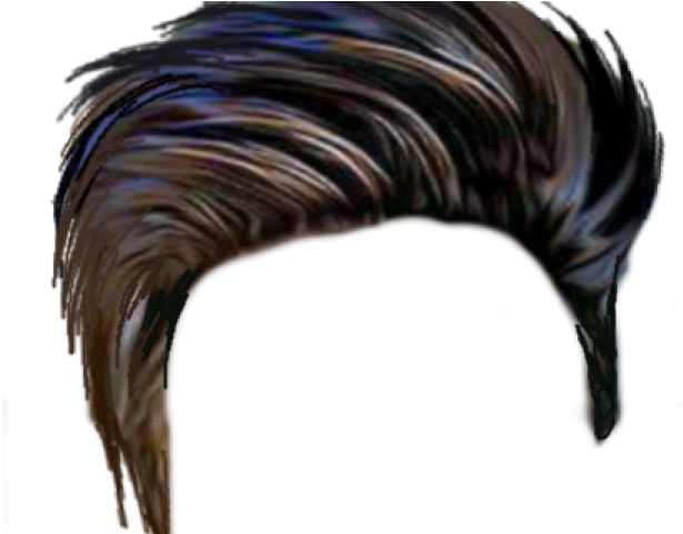 Download Photoshop Clipart Hair Style - Hair Png Hd Download PNG Image with No Background Download Photoshop Clipart Hair Style - Hair Png Hd Download PNG Image with No Background
