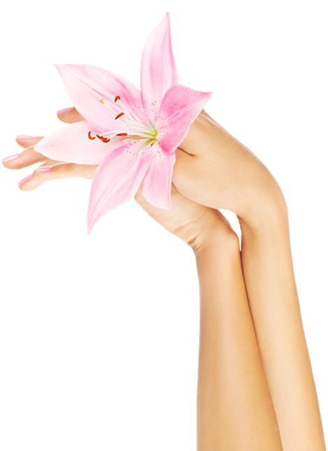 A Manicure From Lady Fingers - Lily (490x644), Png Download