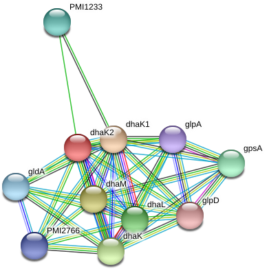 Circle (975x429), Png Download