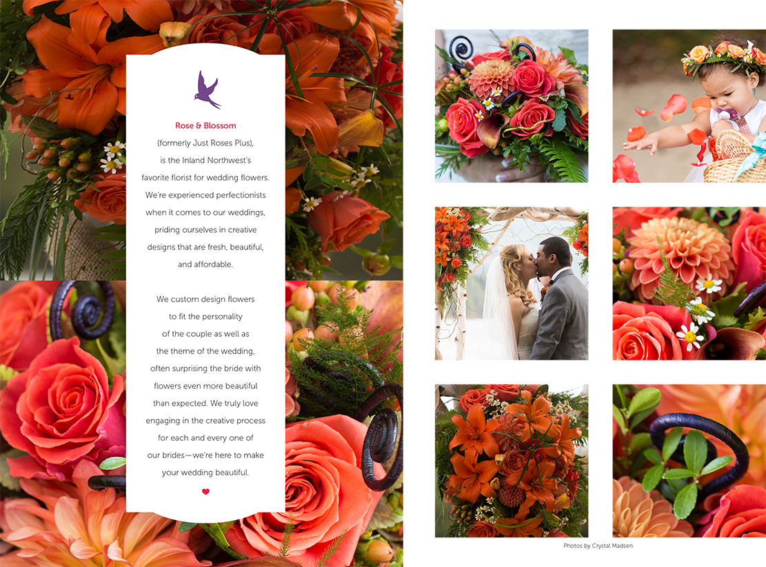 Garden Roses (1111x823), Png Download