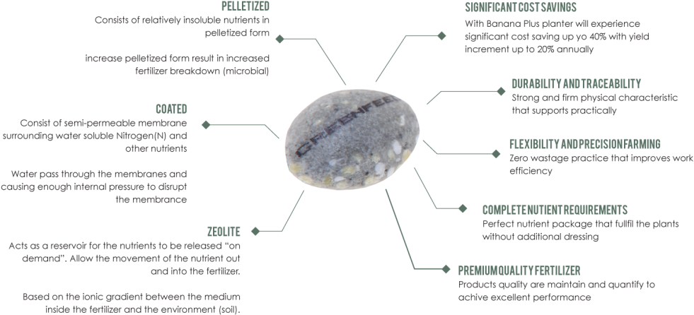 Banana Diagram - Igneous Rock (1024x455), Png Download