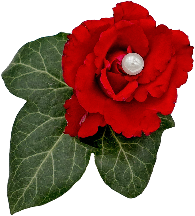 Wedding, Rose, Pearl, Ivy, Floral Decorations, Love - Begonia (720x720), Png Download