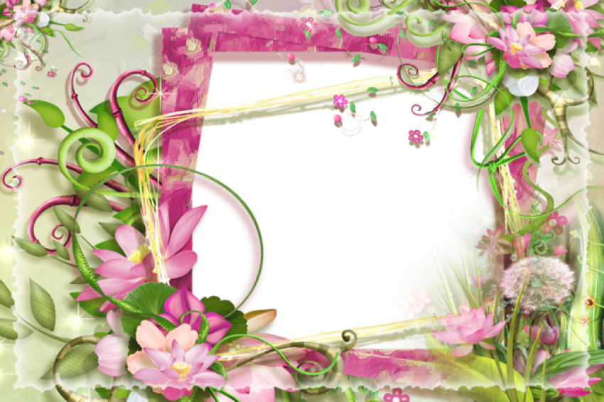 Free Png Best Stock Photos Pink And Green Flowers Png - Pink And Green Photo Frame (850x566), Png Download