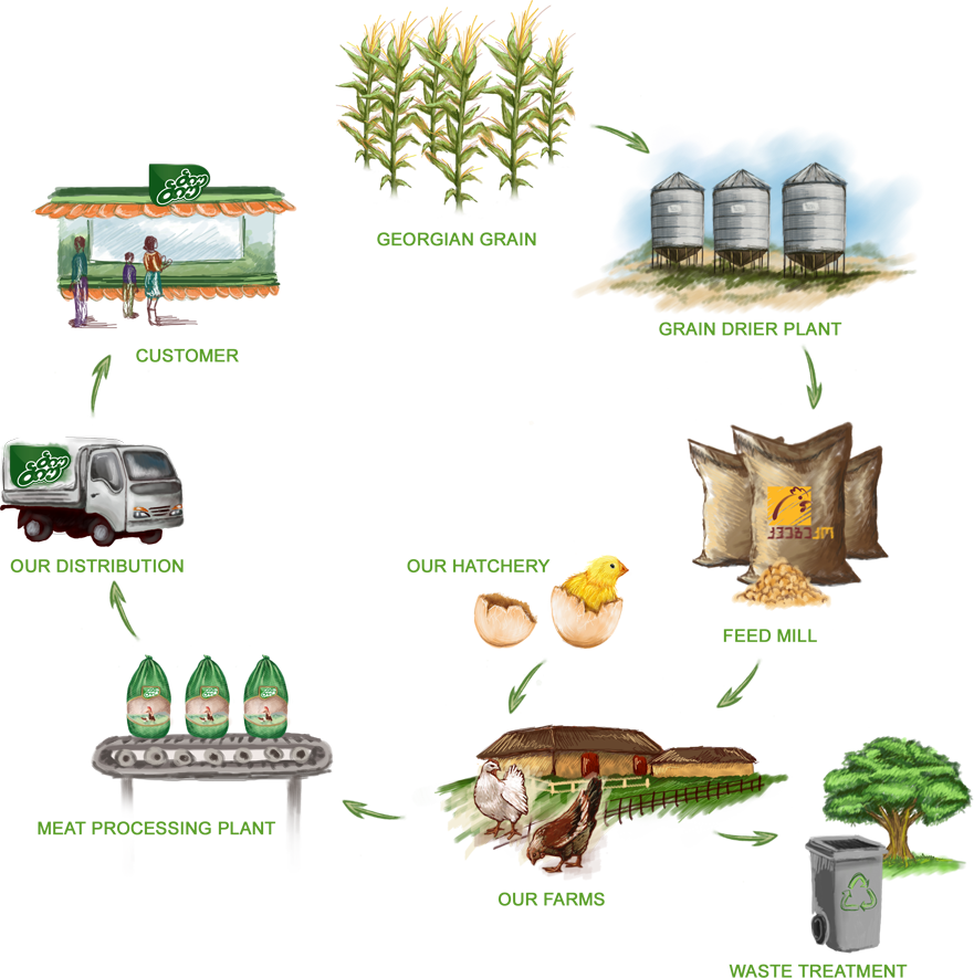 The Quality At Each Stage Of The Production Starting - Illustration (881x885), Png Download
