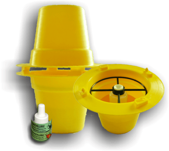 Bbw Pitfall Sordilure Pitfall Cosmogel - Tap (684x656), Png Download