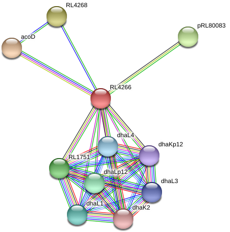 Rl4266 Protein - Circle (975x492), Png Download