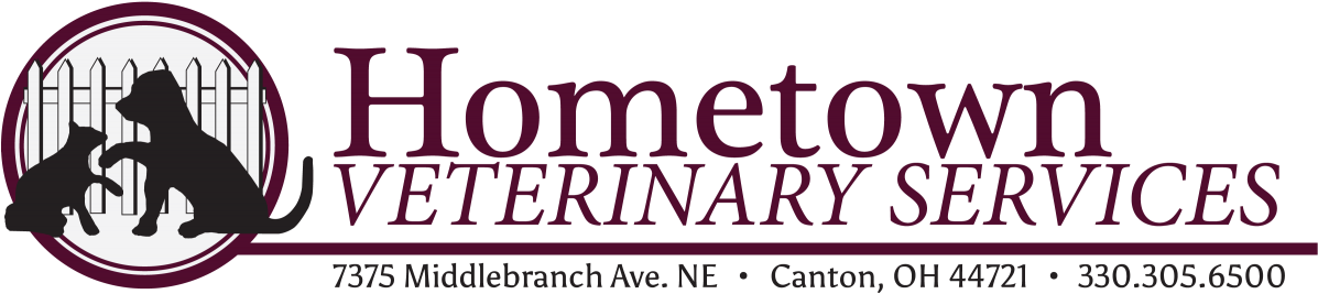 Skip To Content Cropped Hvs Long Logo - Lilac (1500x327), Png Download