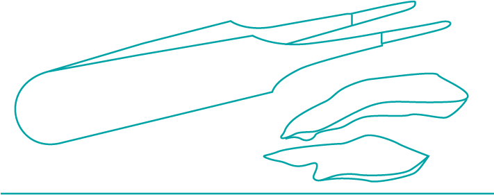 Fossil Detectives - Diagram (710x500), Png Download