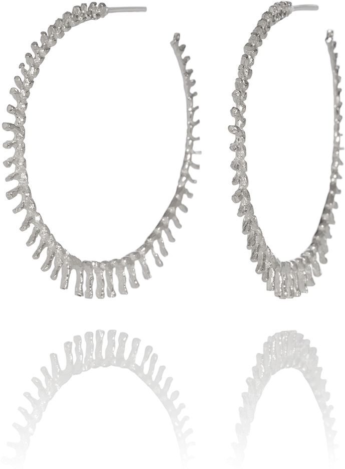 Asterias Hoop Earrings - Earring (1000x1000), Png Download