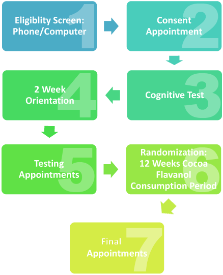 Our Research Assistants Work To Ensure That Participants - Parallel (648x864), Png Download