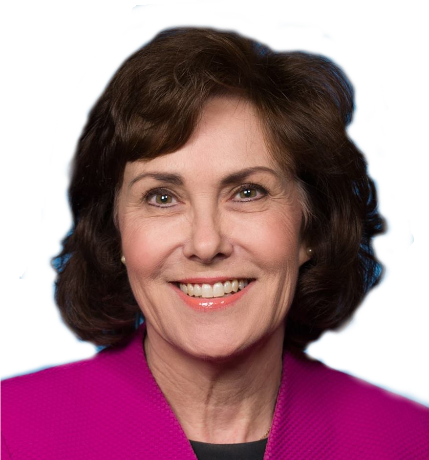 Jacky Rosen, Congressional District - Jacky Rosen (877x948), Png Download