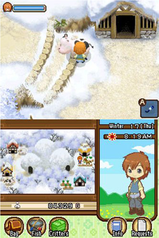 Ds Harvest Moon Tale Of Two Towns (800x800), Png Download