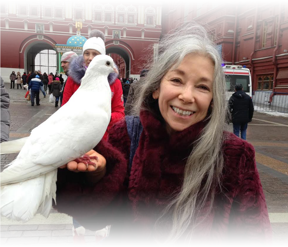 Pigeons And Doves (974x974), Png Download