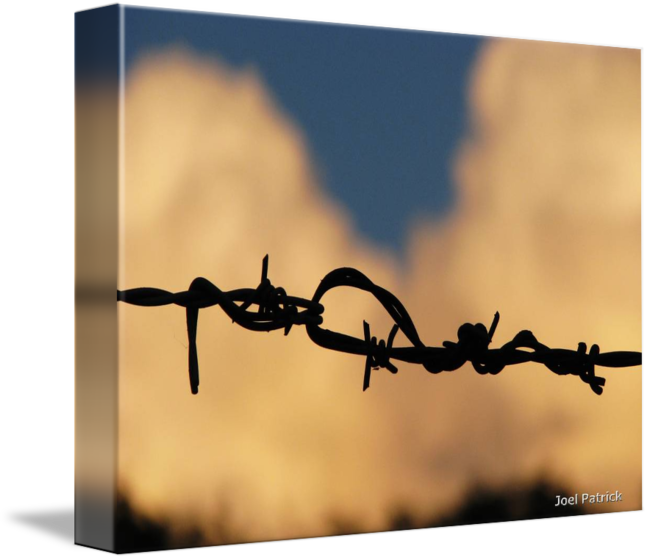 Barbed Wire City - Barbed Wire (650x560), Png Download