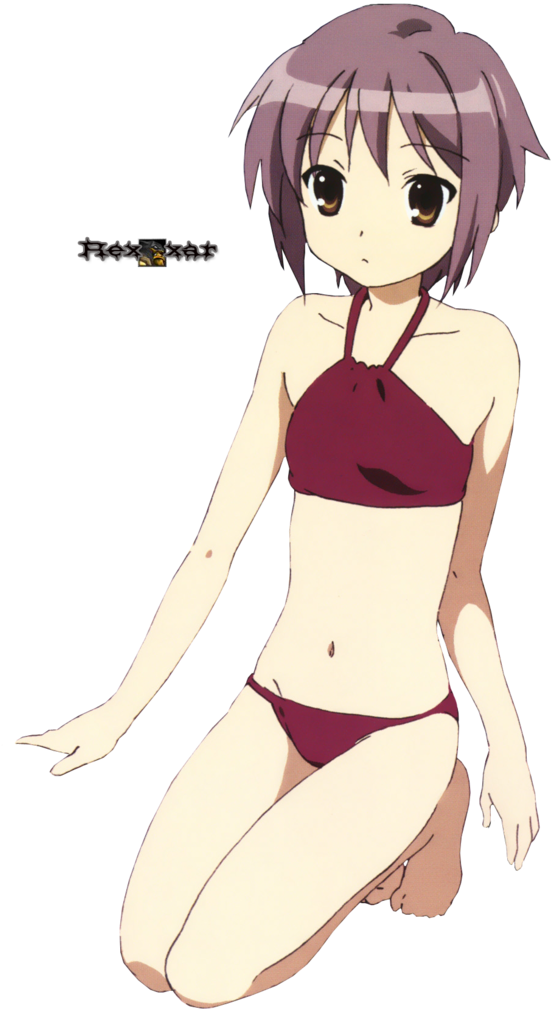 Spoiler For Suzumiya Haruhi No Lotsa Pictures - Photobucket (550x1023), Png Download