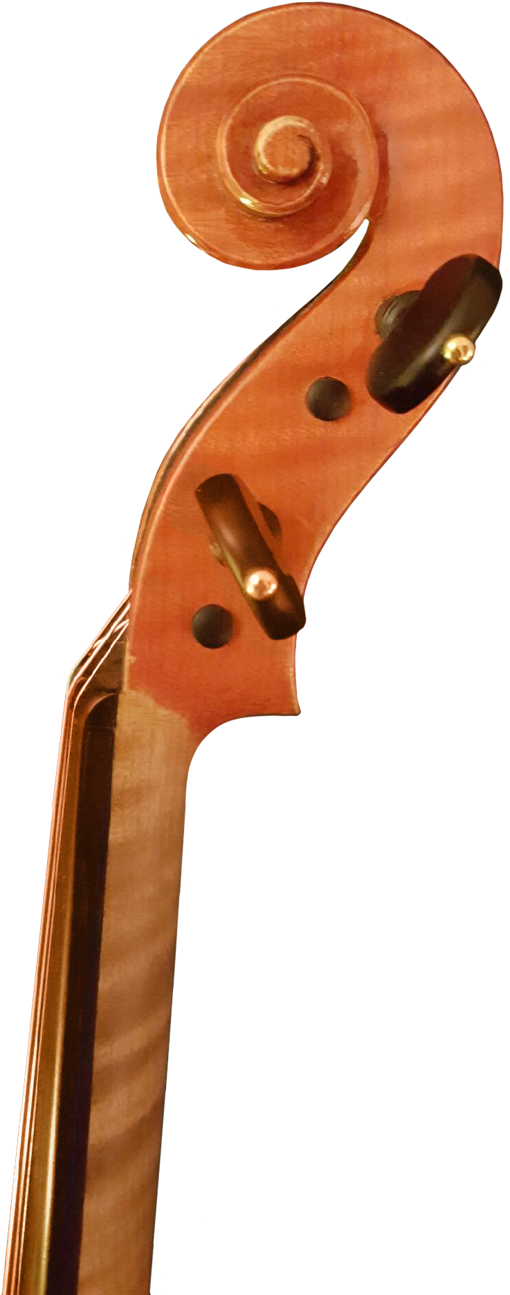 E9yp9f8ab53vmidm7wyz - Viola (798x1869), Png Download