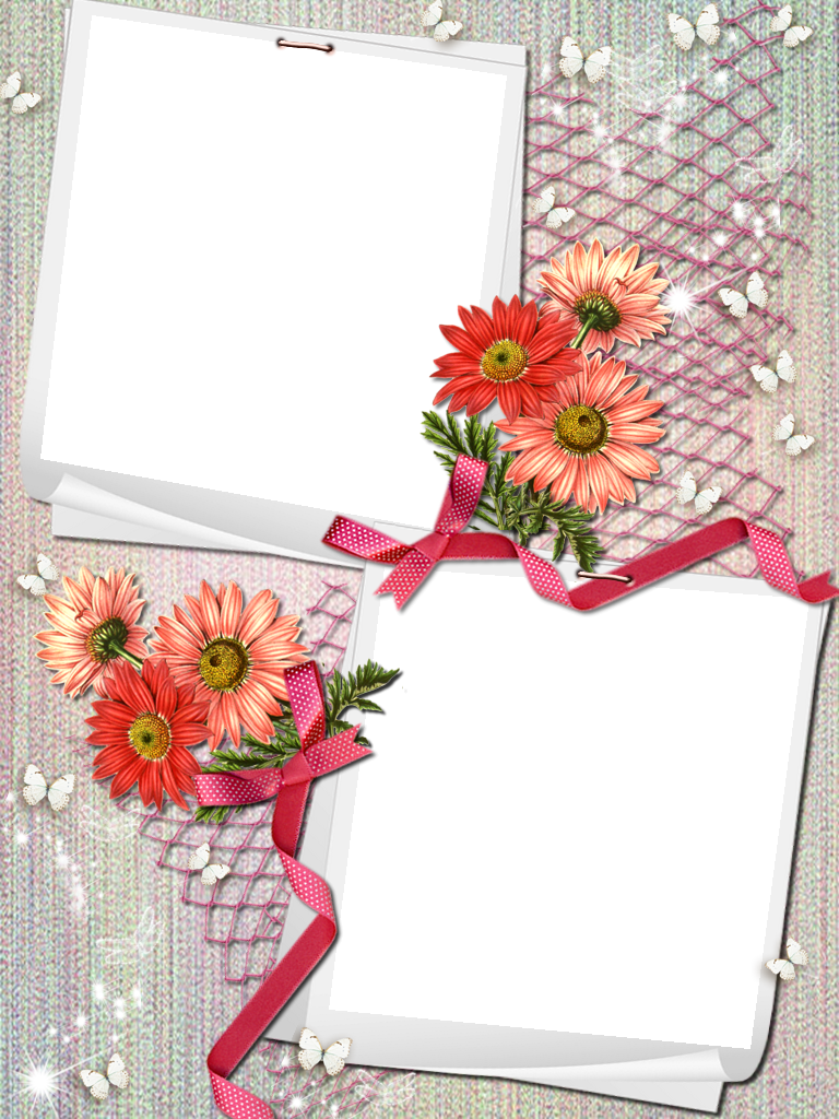 Pin Uživatele Mária Pospíšilová Na Nástěnce My Png - Daisy (768x1024), Png Download