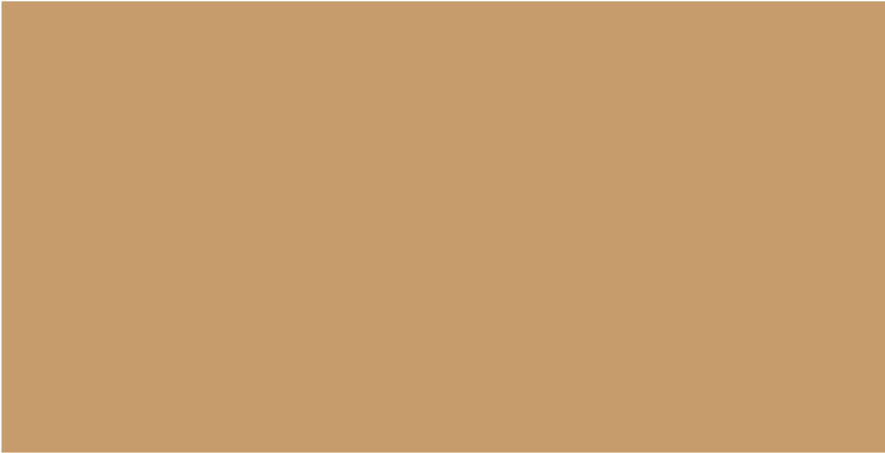 Pale Warm Brown Rectangle In Adobe Photoshop Elements - Bronze (1296x1035), Png Download