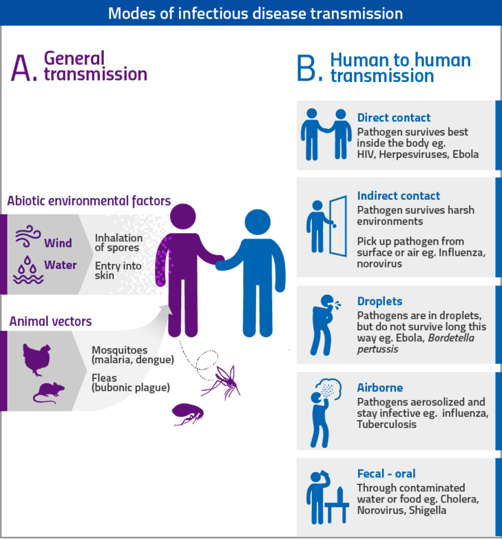 729 X 782 1 - Modes Of Infectious Disease Transmission (729x782), Png Download