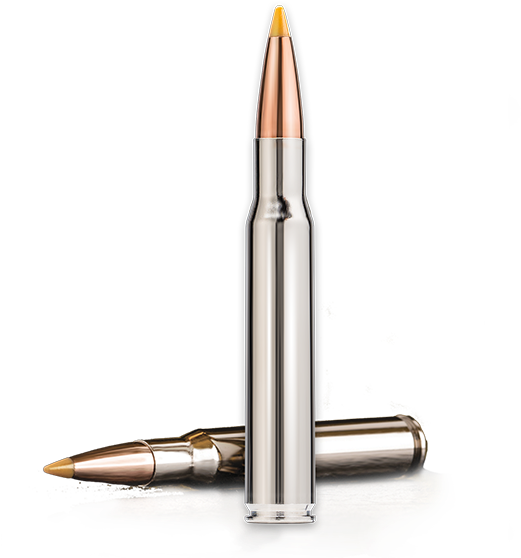 Match Grade Accuracy - Bullet (884x581), Png Download