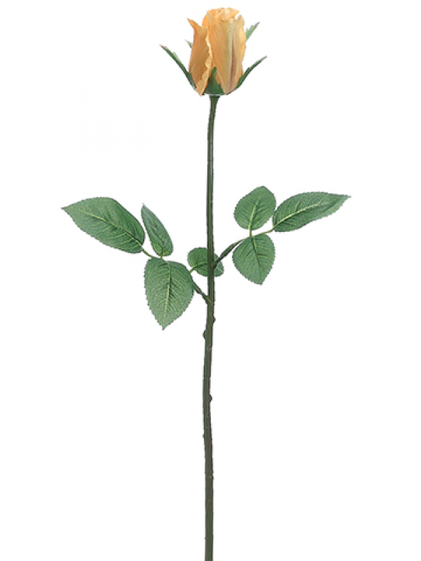 5" Rose Bud Spray Yellow - Hybrid Tea Rose (800x800), Png Download