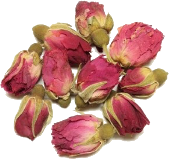 𝕴𝖈𝖊𝖑𝖆𝖓𝖉 𝕱𝖔𝖝 Rose Buds, The Selection, Forest - Artificial Flower (640x574), Png Download