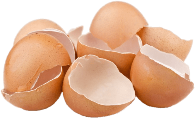 Food - Eggshells - Kulit Telur (749x495), Png Download