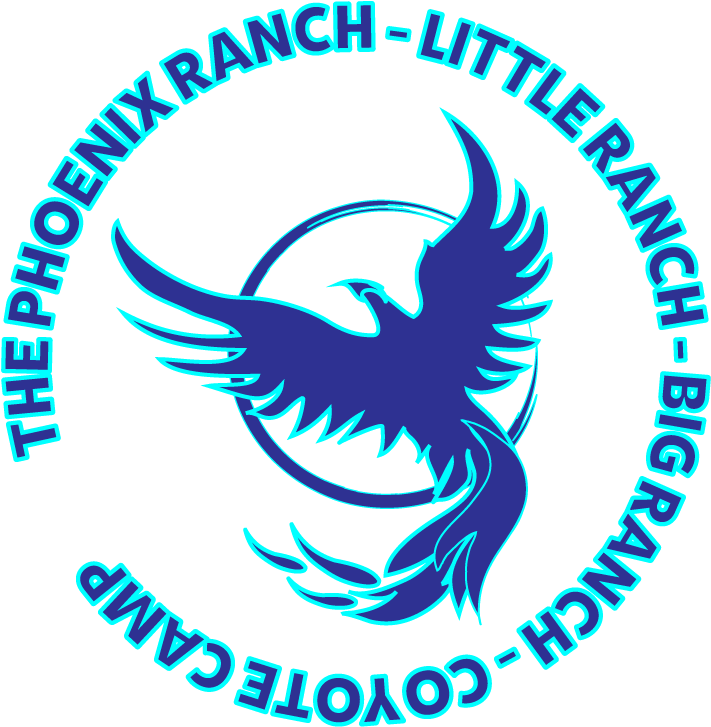 Phoenix Camps - Passport For Kids (730x745), Png Download