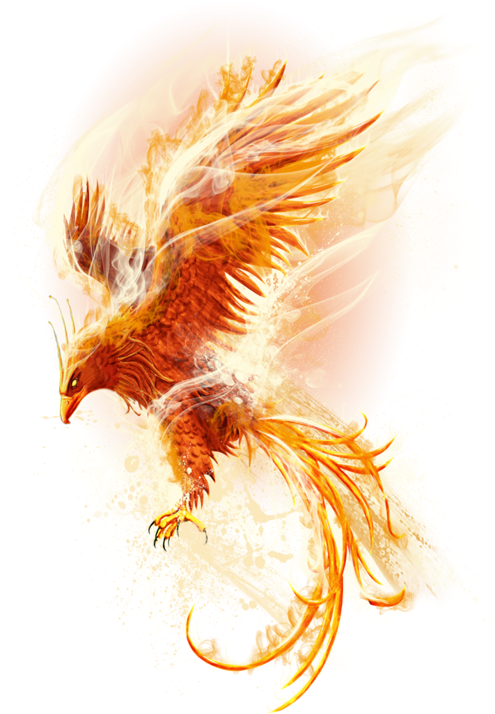 Phoenix Reborn (727x1024), Png Download