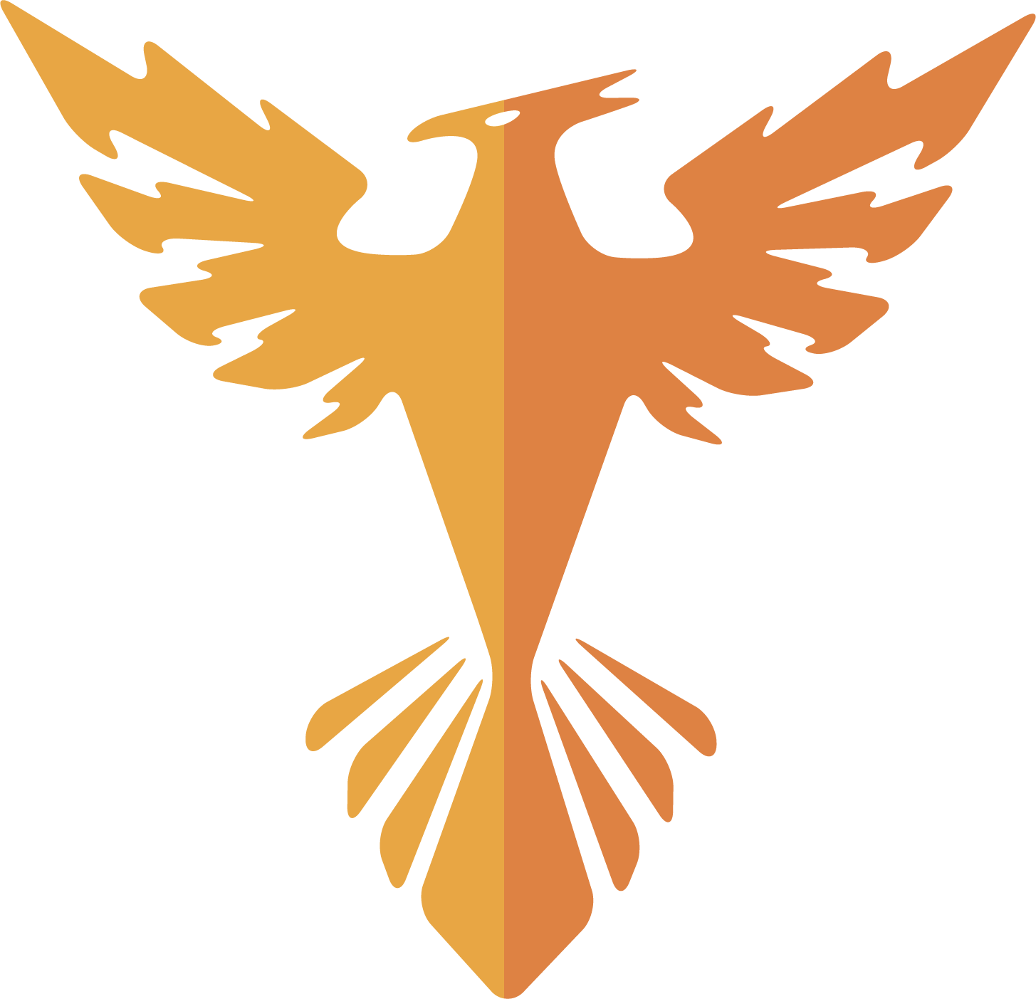 Download Storm Phoenix Lbc Cycle, Inc. PNG Image with