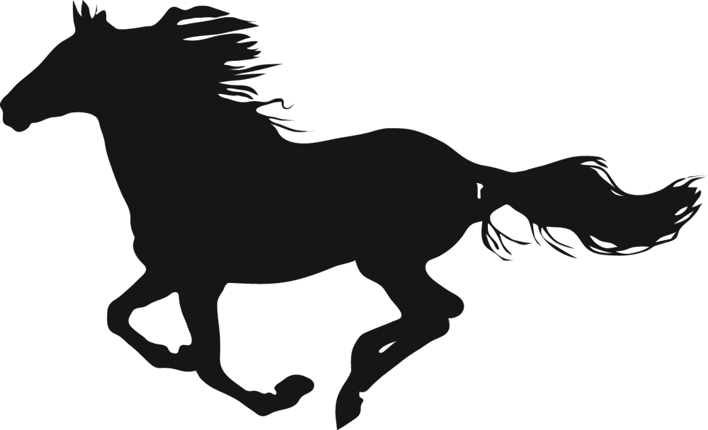 Horsealone (1000x608), Png Download