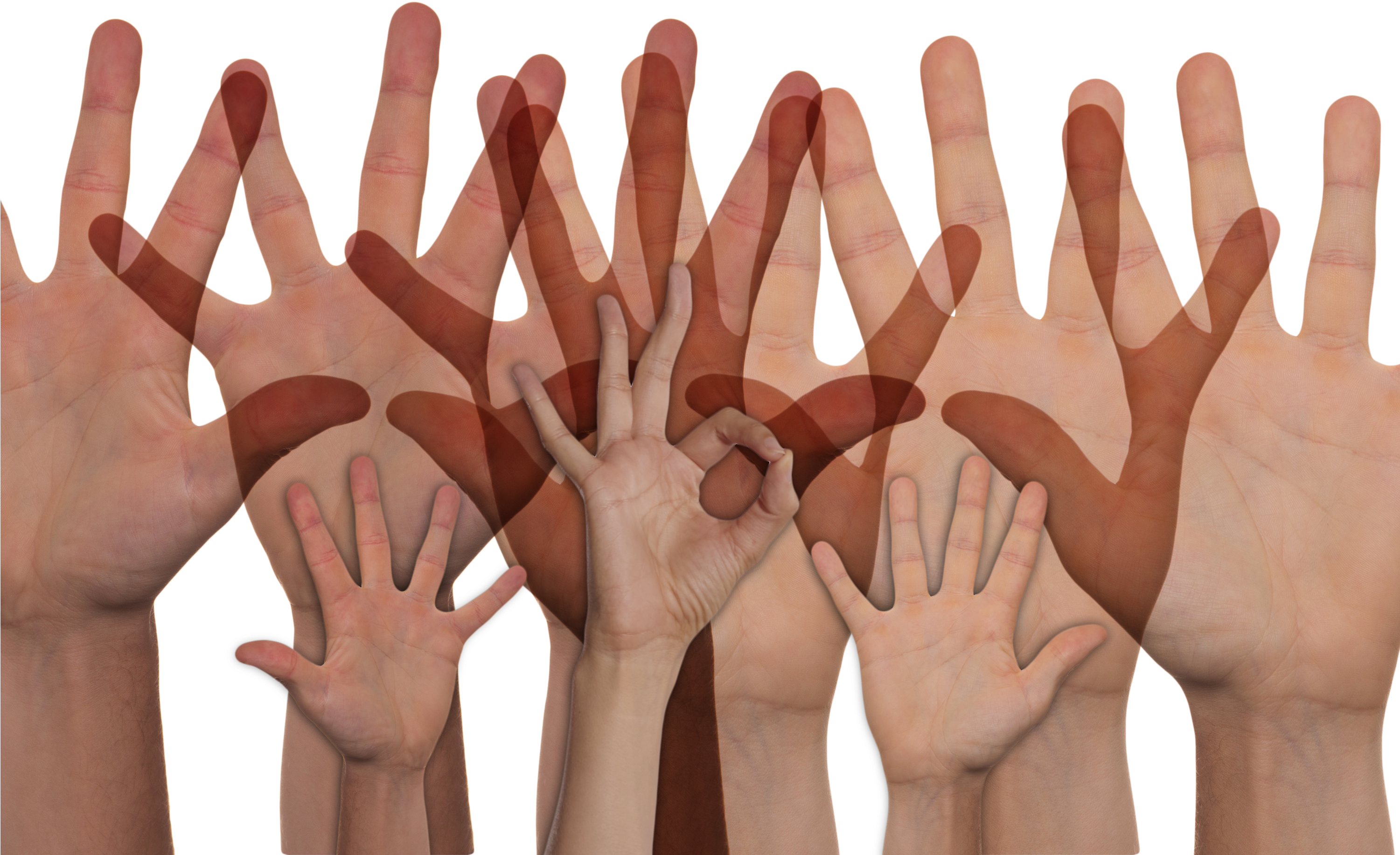 Volunteers - Hands Up - Participate (3000x2000), Png Download