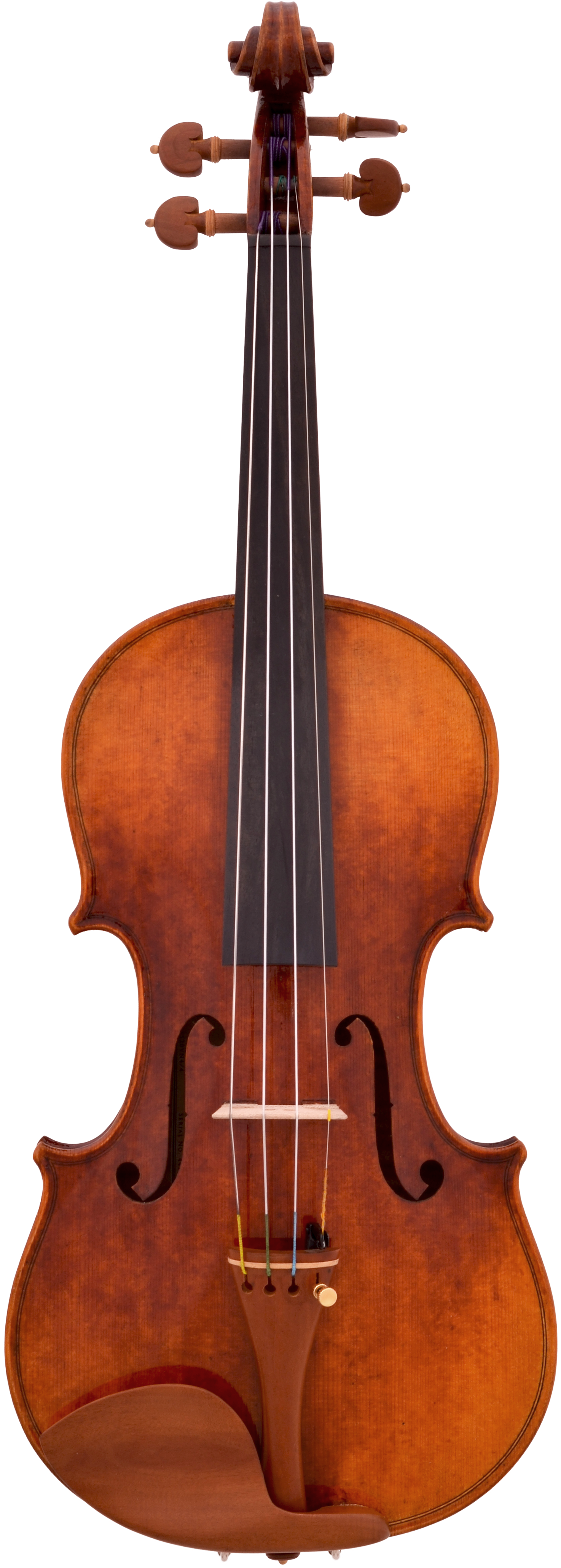 The Forough Violin - Five Stringed Cello (1597x4301), Png Download