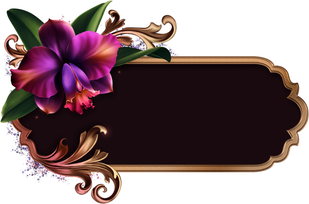 Romantic Orchids - Cattleya (1024x673), Png Download